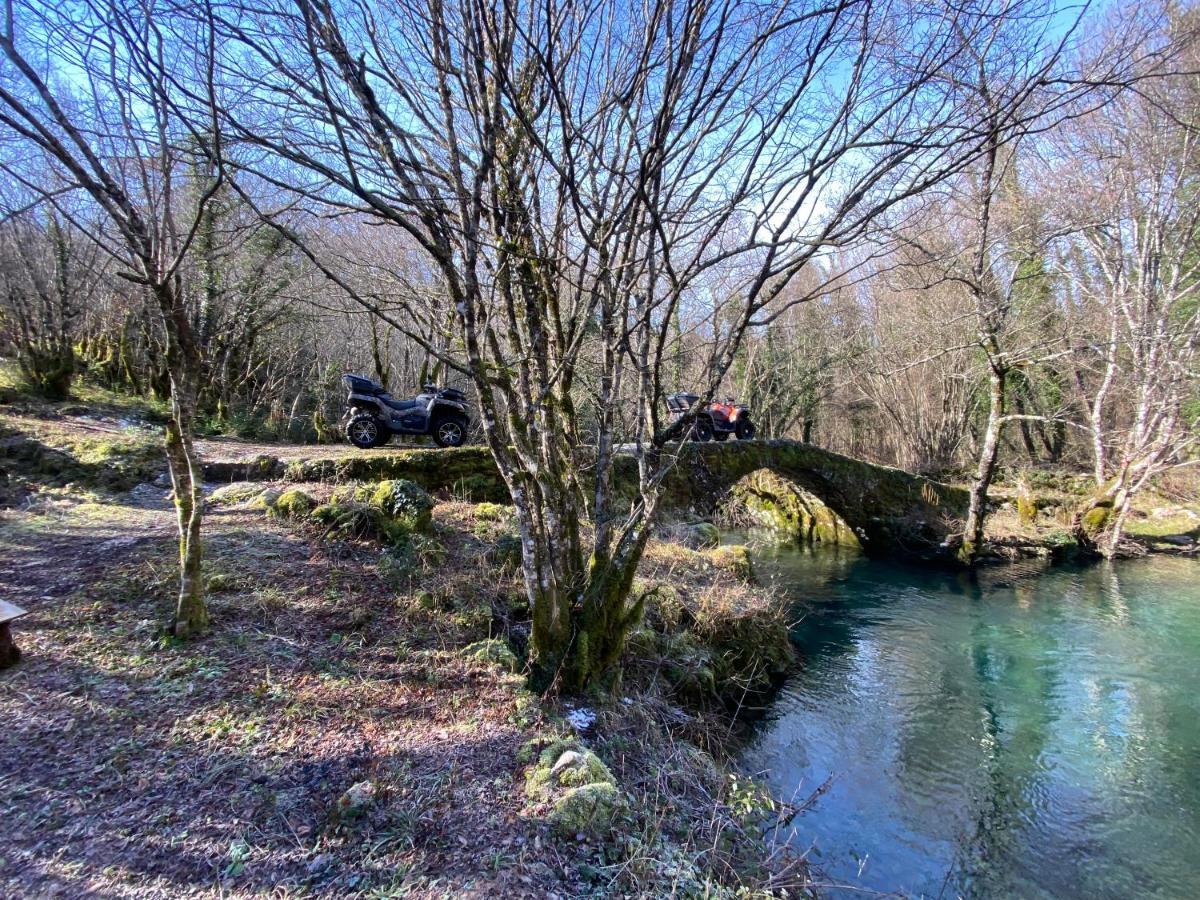Monte